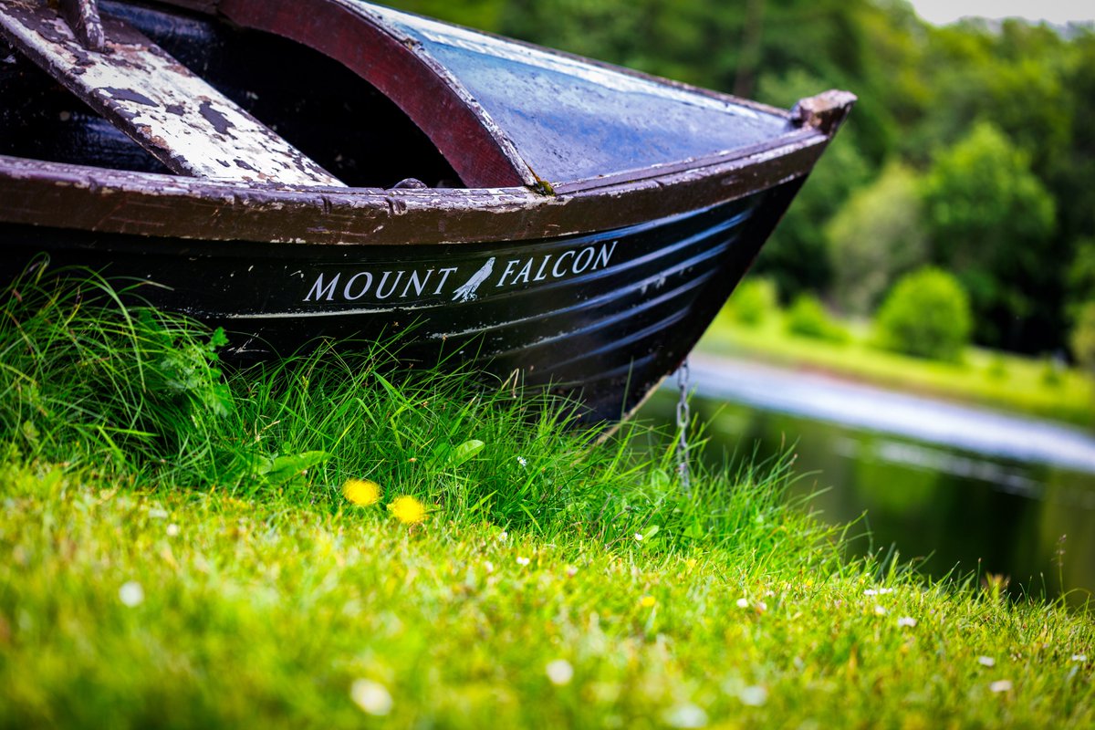 DanielStruk's tweet photo. Mount Falcon Estate. Reopen on the 3rd of July. 
@RTENationwide @wildatlanticway @WAWHour @ThePhotoHour @MayoNorth @mayotourism
 @ChamberBallina @MountFalconEst https://t.co/WCssB9kiEF