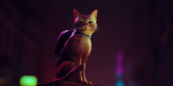 Wonder if I can convince my wife that it’s a good idea to spend a shed-load of cash on a #PS5 if I tell her there’s actually a real game where you can play as a cat 🤔 #Stray