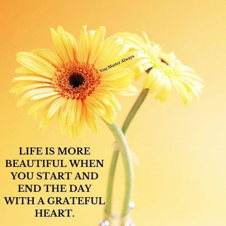 Lead with gratitude and kindness 💜💜💜 #YouMatterAlways #kindnessisalwaysinseason #spreadalittlekindness #kindnessmatters #ifyoucanbeanythingbekind #betheonewhocares #takethetimetocare #beanicehumanbeing #grateful #thankful