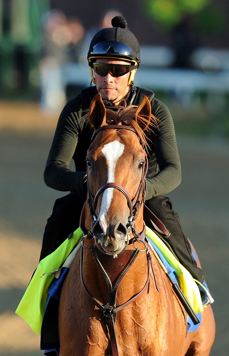 BloodHorse's tweet photo. Court Dismisses New York Firm's Claims on Solomini https://t.co/uJTtGrj8MZ @BH_EMitchell https://t.co/PfsJPaGxTp