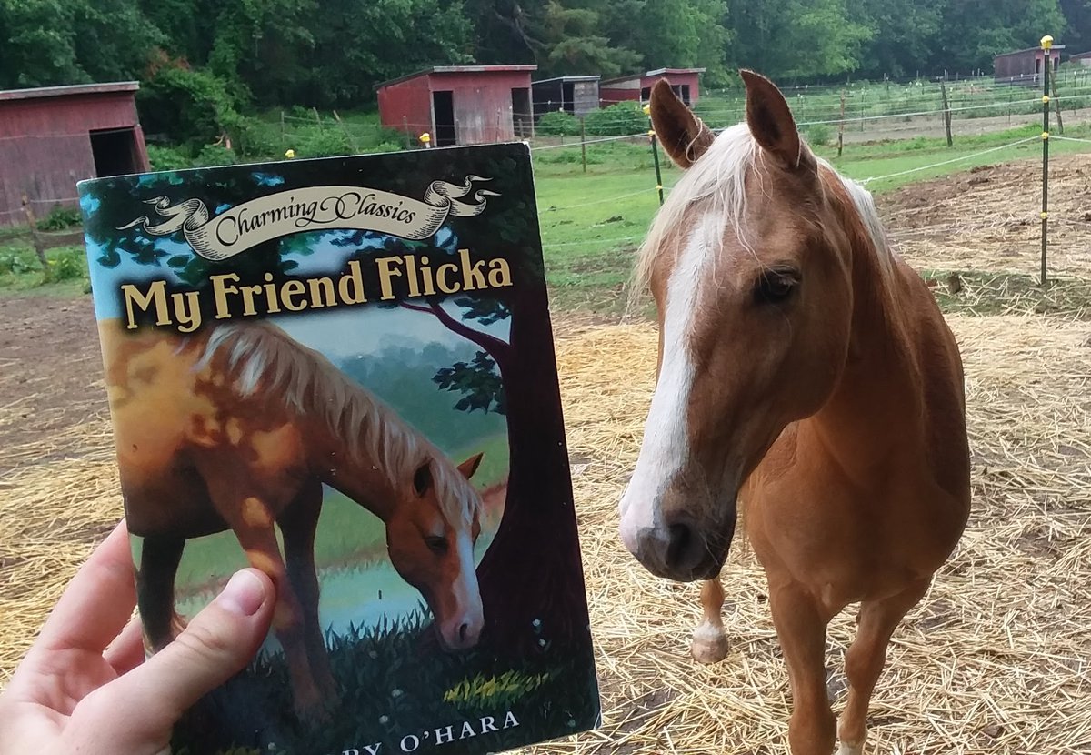 ReadwithRusty's tweet photo. Required reading for free spirits! Today Heathrow reads My Friend Flicka by Mary O'Hara. What are you reading?

Comment with your book and watch Rusty get a treat from you on our Friday video!

#friendship #horses #books #myfriendflicka https://t.co/7Dv0DdUqsJ
