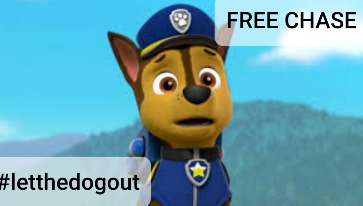 sergeantpissed's tweet photo. #letthedogout https://t.co/C6JUzHlVmX
