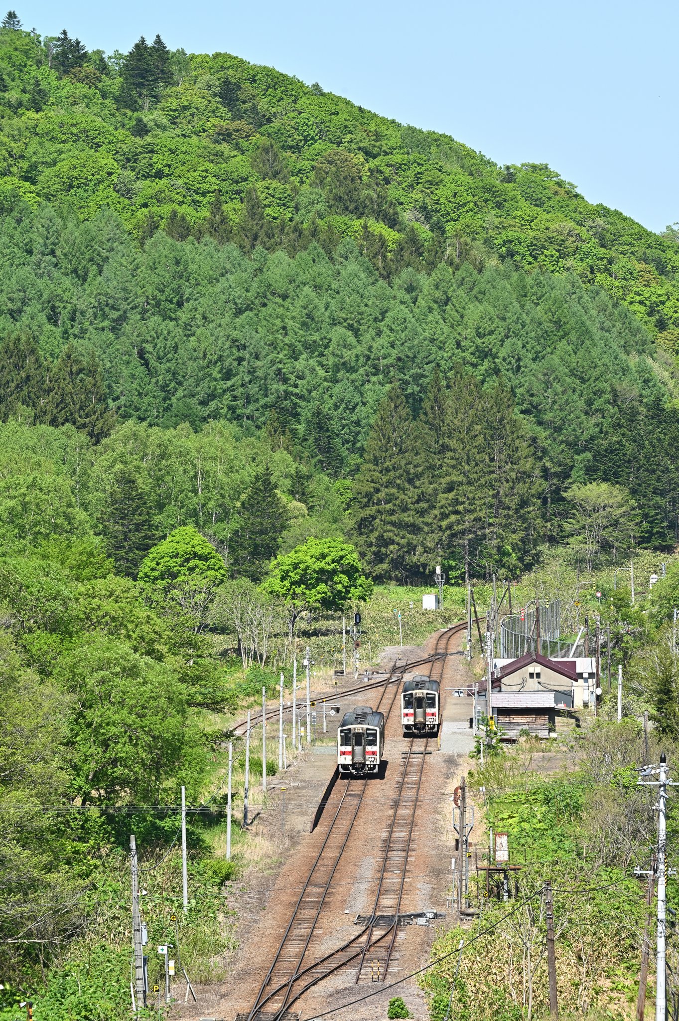 まんたさん 峠下の列車交換シーン 藪漕ぎはダニが怖いので 次回は雪が積もってからにします 留萌本線 峠下駅 5 30撮影 T Co Ctc5kvbrus Twitter