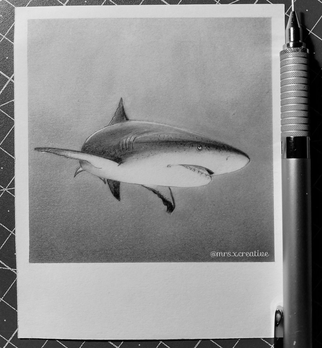 wallpapers Realistic Cool Shark Drawings t co lfjvnz59al shark sharks drawing