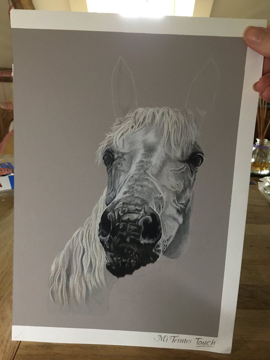 I only managed a little bit more on this piece today sadly, and she really needs her ears on! #Horses #equineartist #equestrianart #showpony #whitehorse #horsedrawing #horseart #fabercastell #cansonpaper