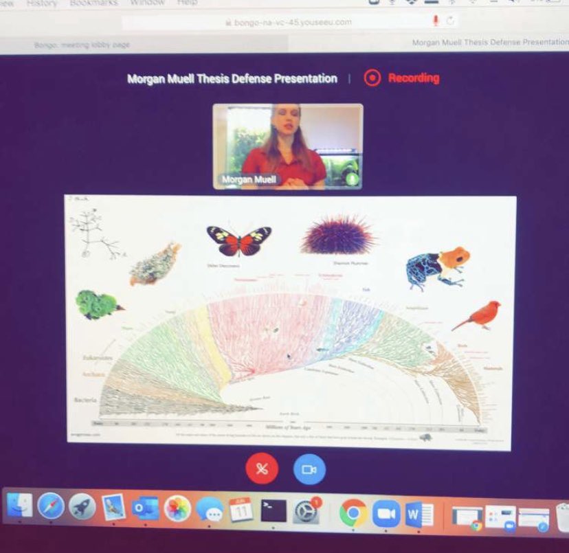 Morgan Muell tweet media