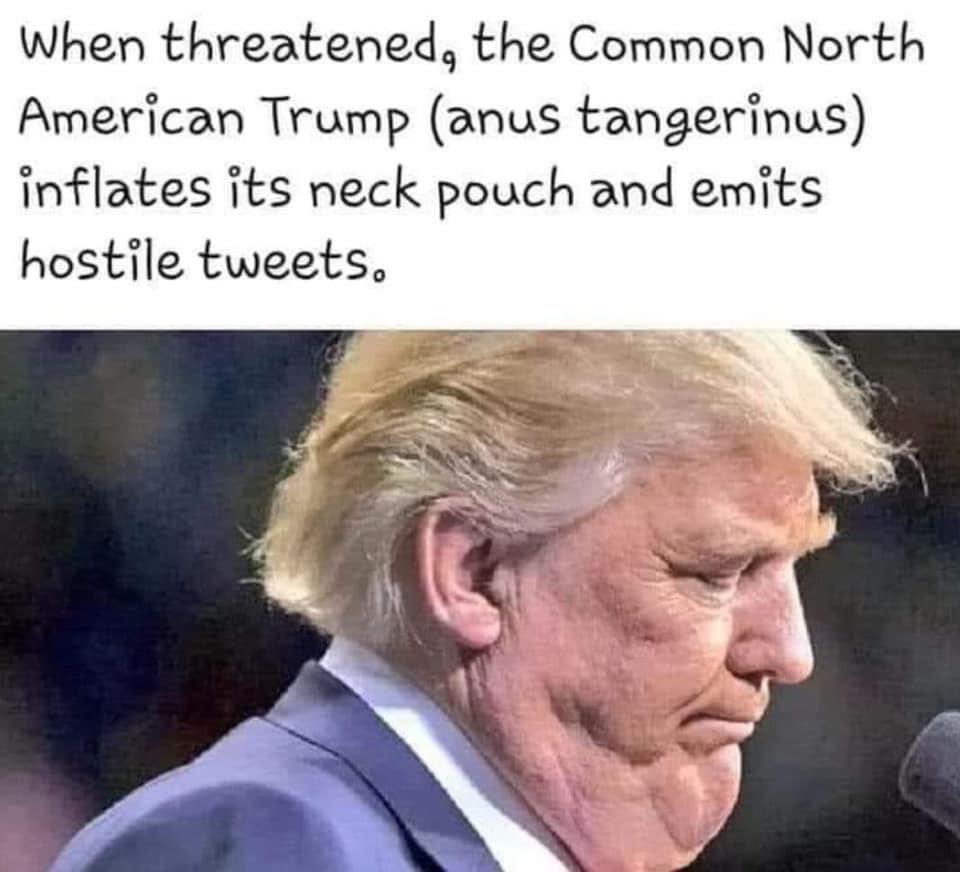 JnathanN's tweet image. 