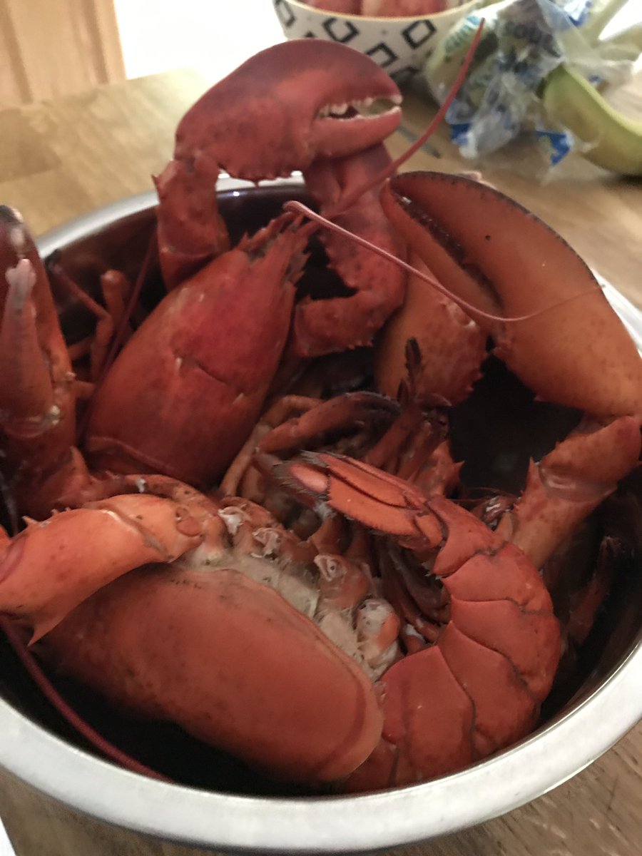 lasporteva's tweet photo. #PLFN #Lobster https://t.co/oomaGZPcjI