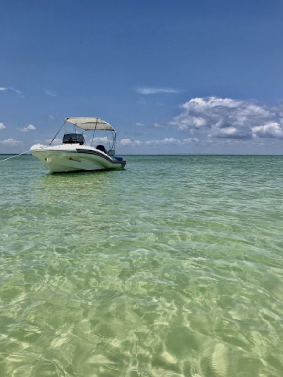 martin_desnudo's tweet photo. On Father’s Day, 21 June, a group of 25 of us will take boats (naked, of course) from the mainland to Passage Key, a nudist island 30 minutes off the coast of St Petersburg, FL. It’s actually a federal bird sanctuary, but the beach and shallow waters are popular for nude use. https://t.co/frILjOTKwt
