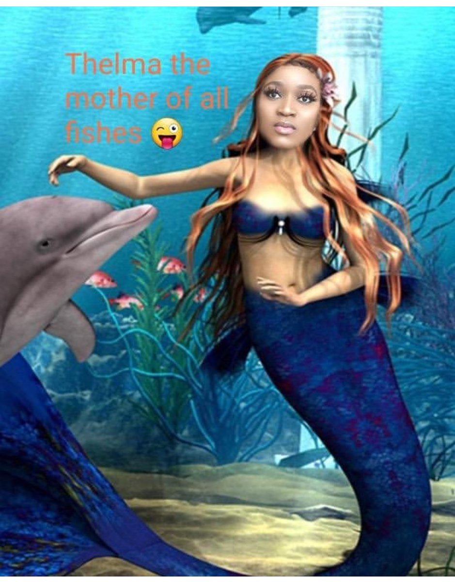 Alexwor03480648's tweet photo. Thelma Fish 🐠 🤣🤣🤣🤣🤣 
 #Titans I’m done with you all 😂😂😂🤦‍♀️🤦‍♀️🤦‍♀️ #ItCanOnlyBeTacha #TachaTheContent https://t.co/yKH8A0PHeJ