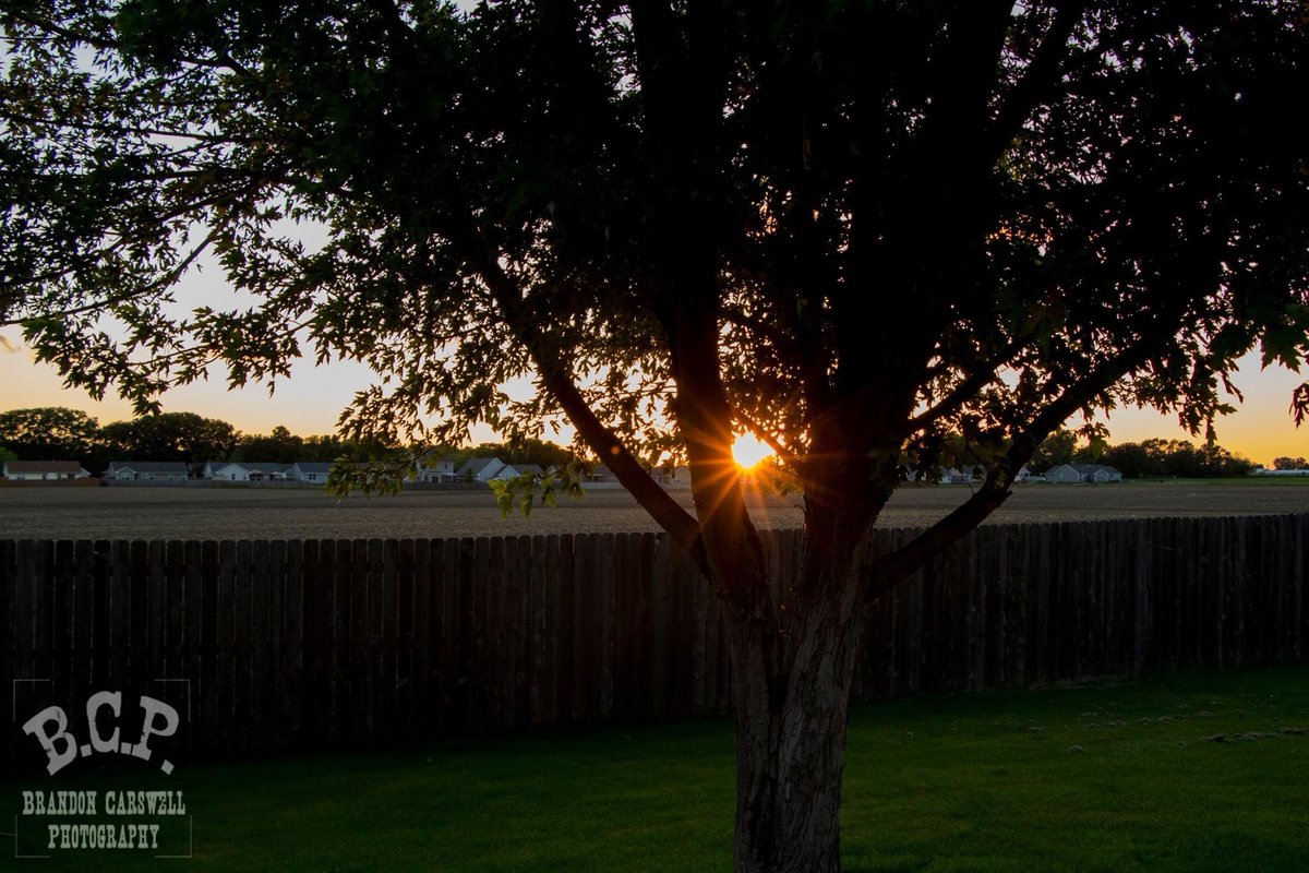 BCPhotos1's tweet photo. “Back to the backyard basics.” 6/11/2020

Nature will always be my favorite thing to photograph.  No expectations or demands on how to take pictures from anyone. https://t.co/JaA2qiwhvg