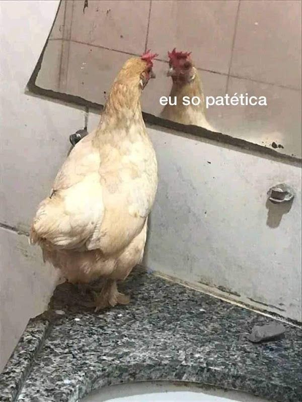 ThreadsBleh's tweet photo. O DIA EM QUE EU PERDI A VIRGINDADE COM UM RODO A THREAD; https://t.co/pwBlKGYrZX