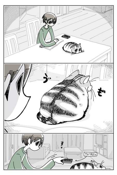 ネコに乗せたくなる
https://t.co/7rIS45Ikxs 