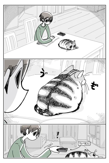 ネコに乗せたくなる
https://t.co/7rIS45Ikxs 