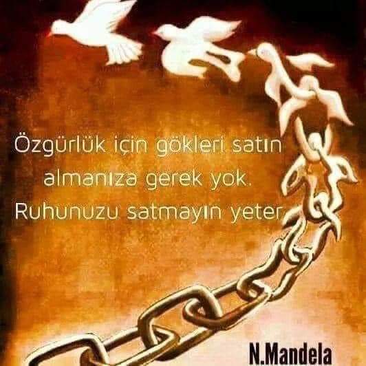 devrimdevrim03's tweet image. 