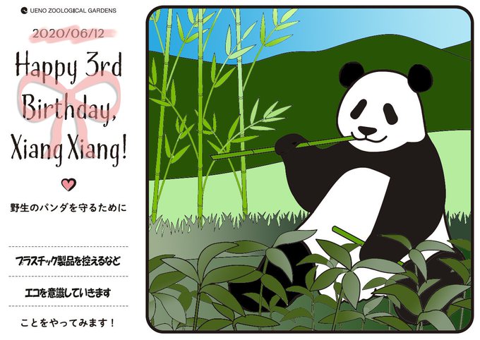 デジタル塗り絵のtwitterイラスト検索結果 古い順