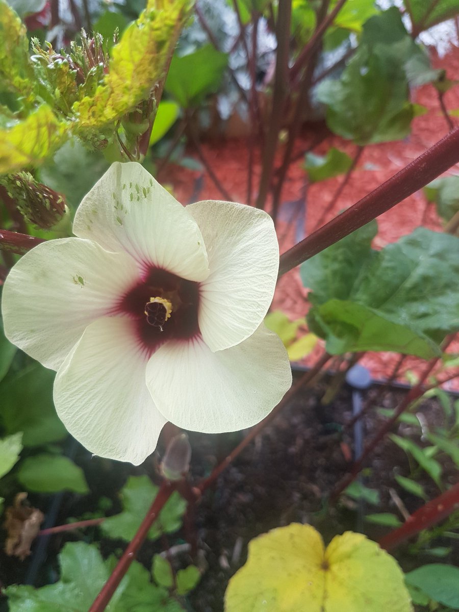 YuvarajDavidson's tweet photo. “A new command I give you: Love one another. As I have loved you, so you must love one another.
John 13:34 https://t.co/thHqU0uk7i