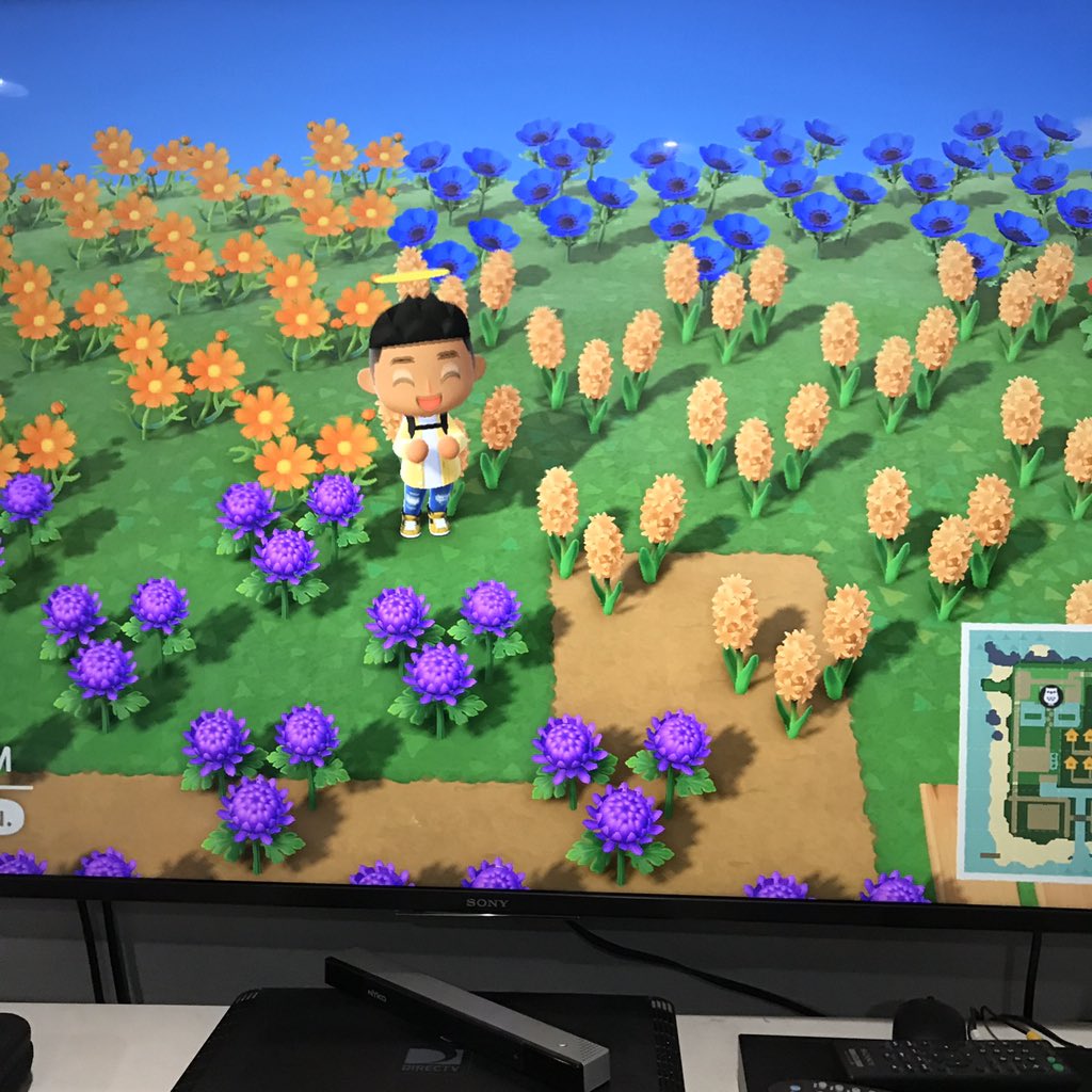 DannyxTycho's tweet image. Anyone have time to help me water my flowers rn? Need about 4 ppl! I’ll give you 10,000 bells for helping me out! DM for dodo code! 😊 #animalcrossing #dodocode #animalcrossingdodocode #animalcrossingnewhorizons