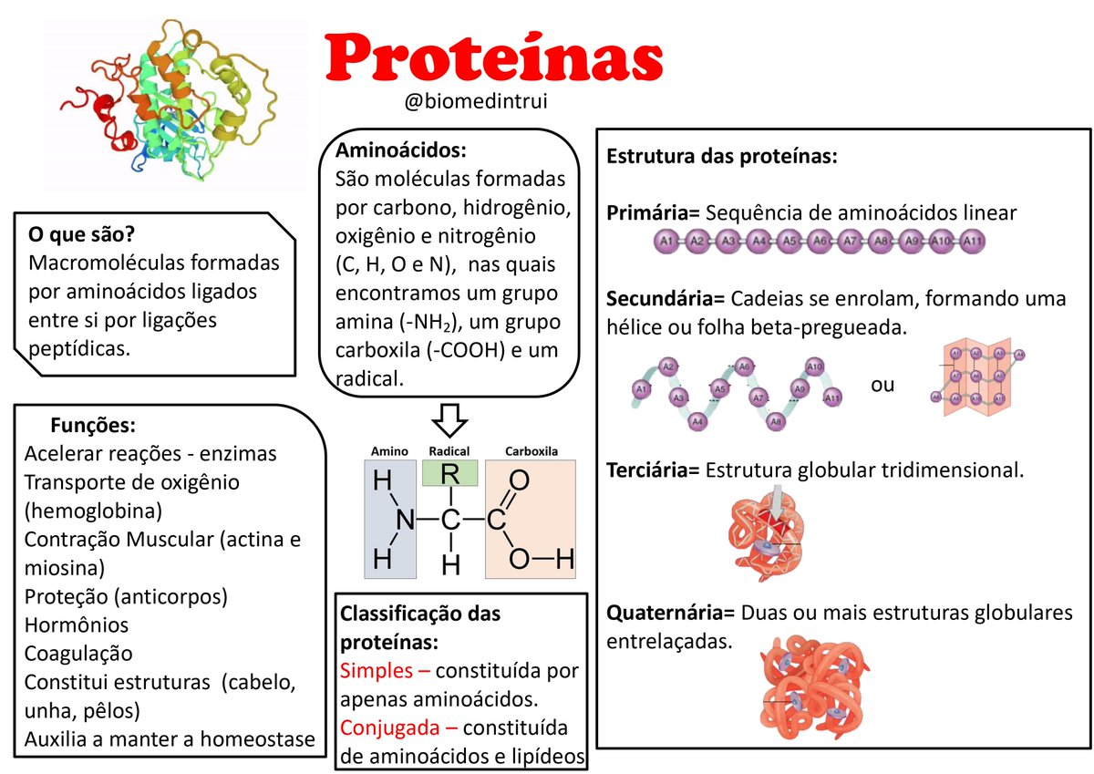 Estrutura 3D Da Celulase, Enzimas Produzidas Principalmente Por Fungos, Ba  Foto de Stock - Imagem de isolado, catalise: 84011670, image size:1200x849