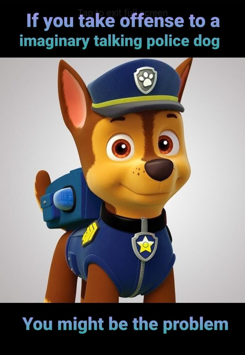 CostaCasey's tweet photo. Exactly #PawPatrol this is so fucking ridiculous https://t.co/4oxxefZSLJ
