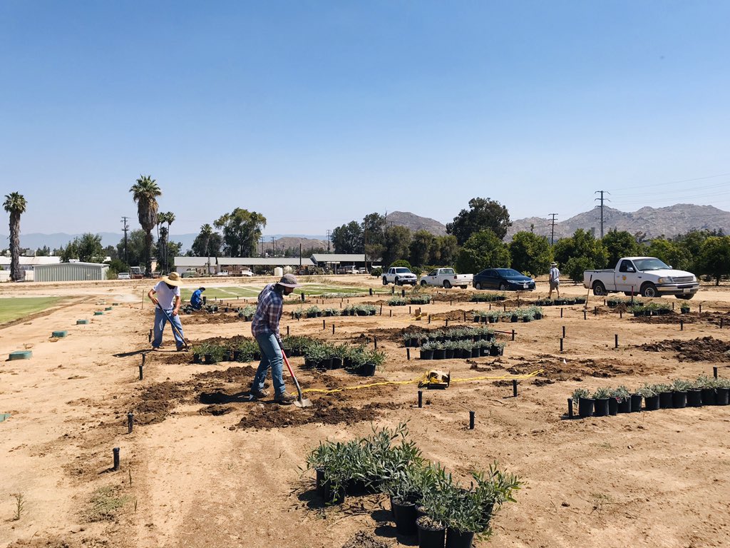 Anish Sapkota tweet media