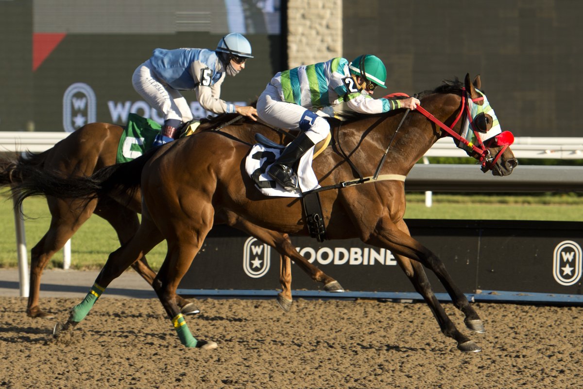 WoodbineTB's tweet photo. A BIG congratulations to trainer Rodney Barrow on his first career win with Gary Boulanger &amp; Pierian in tonight's finale! #BetWoodbineTB #GoRodneyGo https://t.co/z3PVt6kzKX