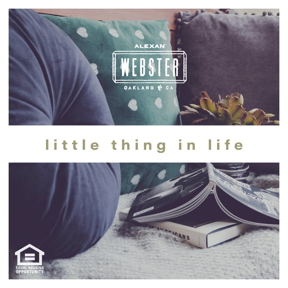 Alexan Webster (@AlexanWebster) / Posts / X