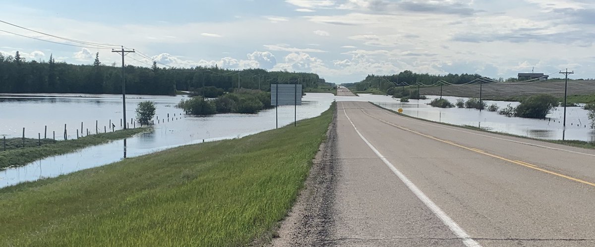 Cherie Westbrook tweet media