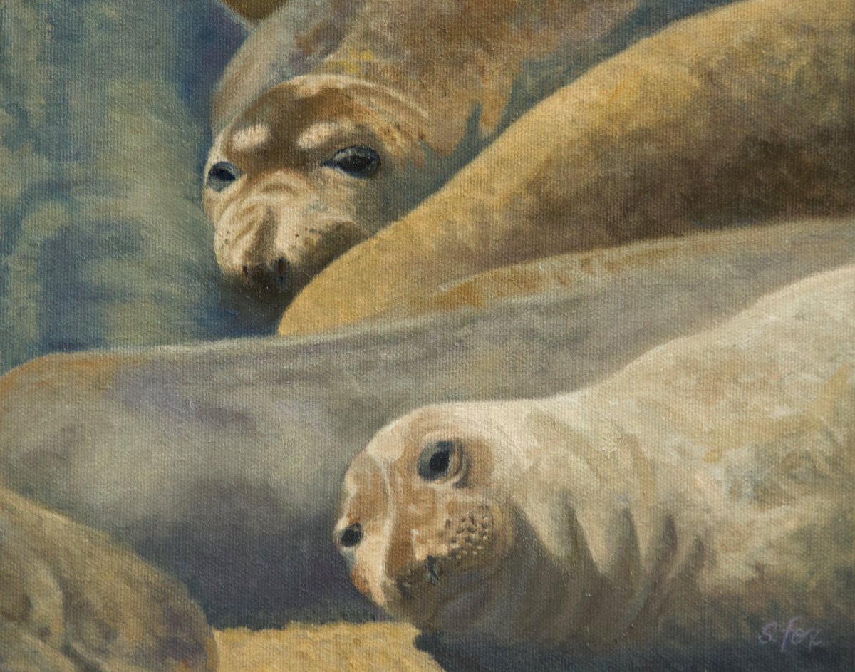ExplorersClub's tweet photo. Don't forget to take a tour of our #WorldOceansWeek2020 Virtual Gallery. Experience the Art of the Oceans during #WorldOceansWeek on @artsteps. This is an immersive collection of TEC Members’ ocean art.
Begin the tour here: https://t.co/HrY0DVrLPp https://t.co/fgveg709Rx