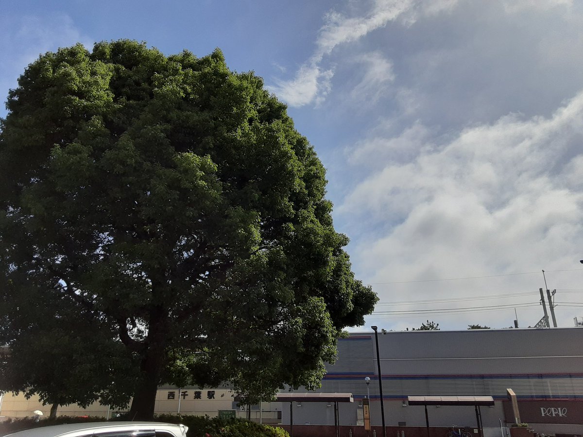 Barber Ito Works おはようございます むし暑いですね そんな日は 時間ができたら シャンプーだけ はい 喜んで そんなことも 大歓迎です ご来店お待ちしております 西千葉 理容室 床屋 バーバー シャンプーのみ歓迎