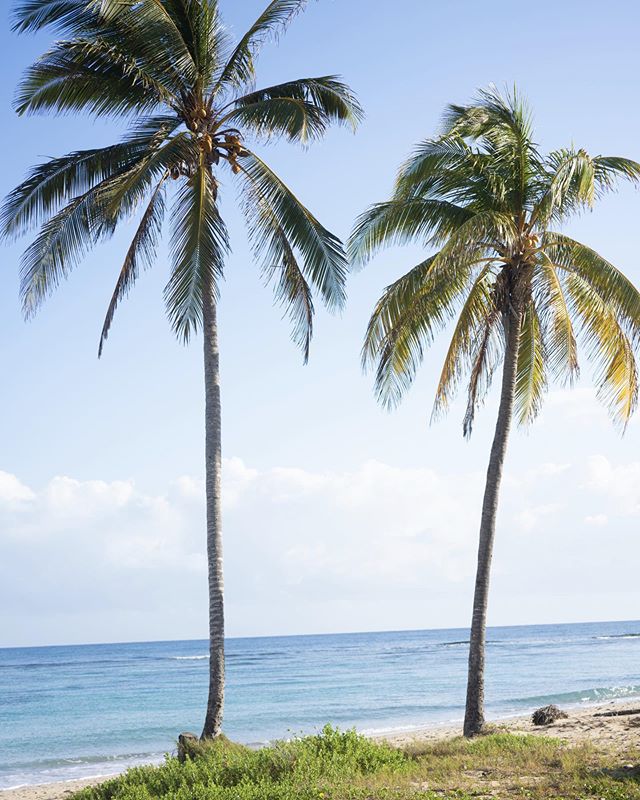 Where is this beach?  Any guesses? Country begins with a C

📸 instagram.com/p/CBUEjtaBGTU/ via tweet.photo