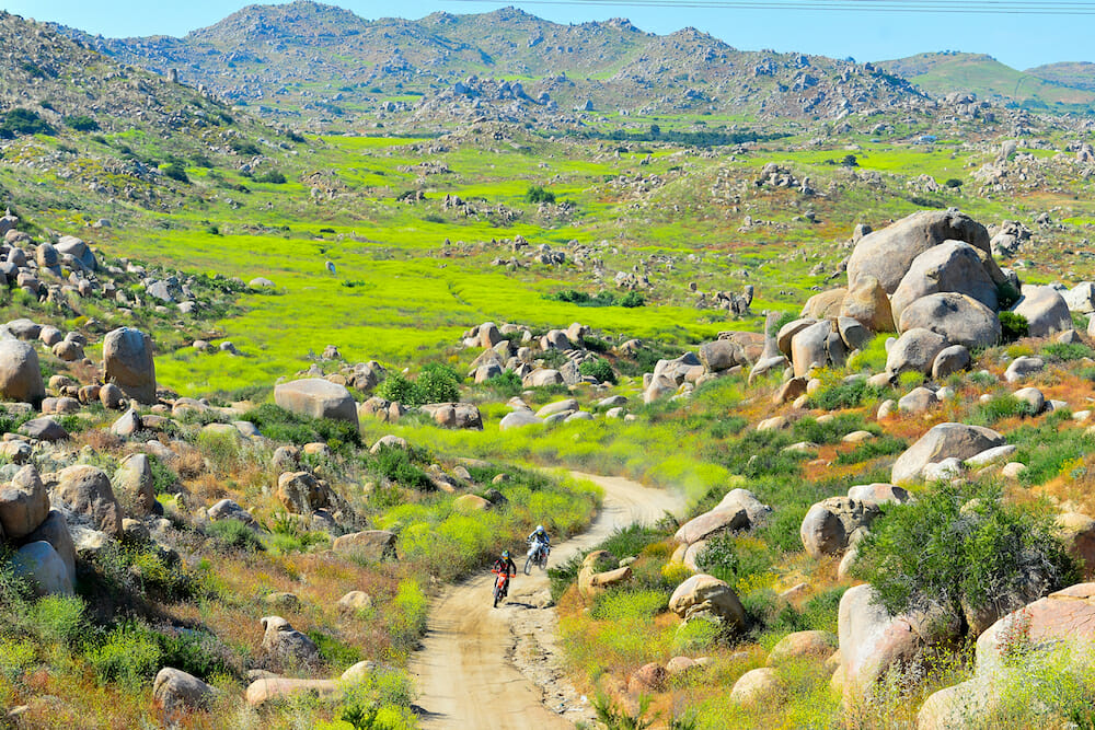 Gone riding would be the last you hear from me before you see the dust-cloud..... :)