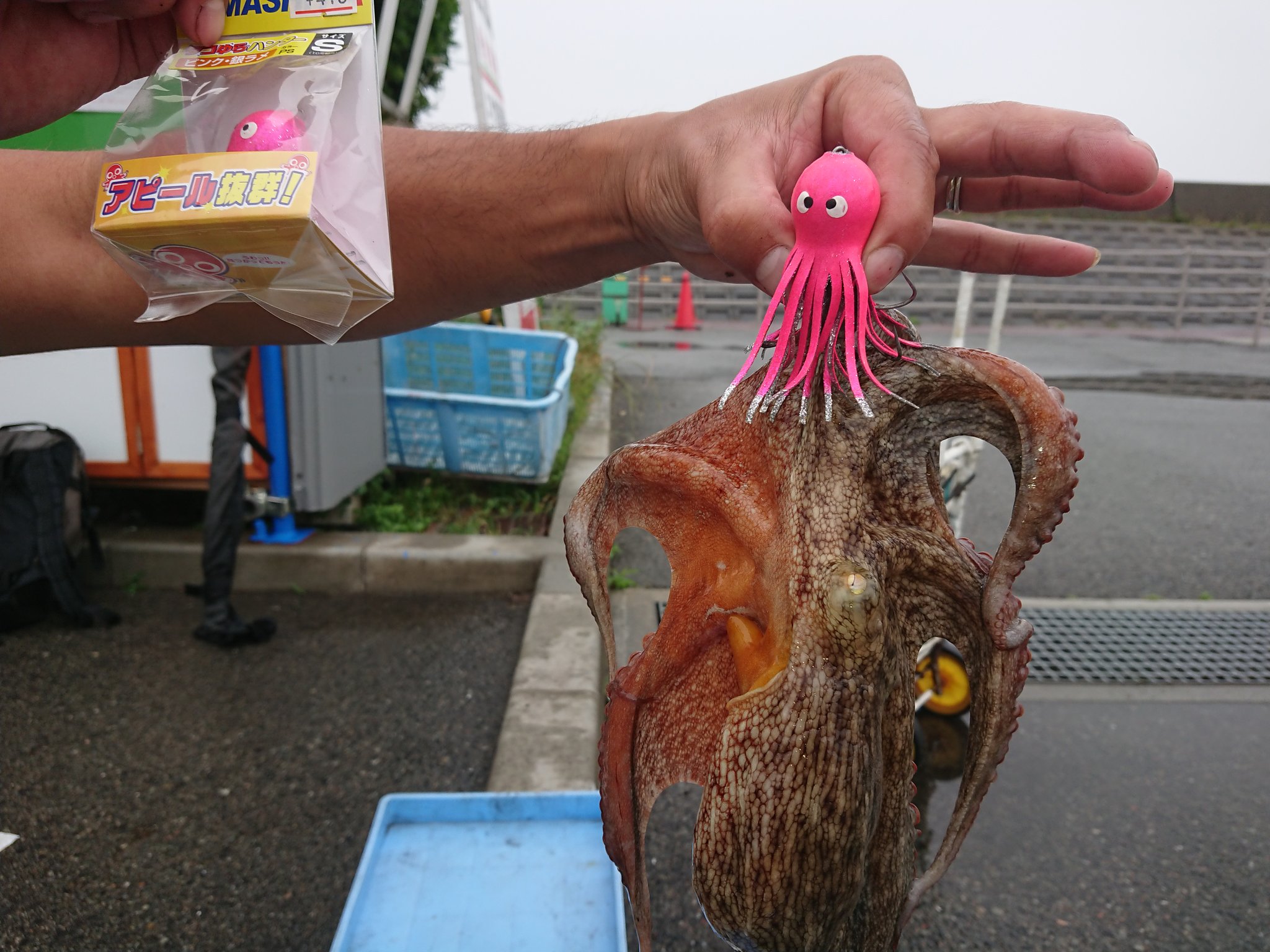 尼崎市立魚釣り公園 売店 武庫川渡船 6 12朝一からタコ好調 数釣りが楽しめます 武庫川渡船 尼崎市 タコ釣り ファミリーフィッシング ヤマリア タコゆらハンター 尼崎市立魚釣り公園 売店 武庫川渡船 6 12朝一からタコ好調 数釣りが楽しめます 武庫川渡船 尼崎市 タコ釣り ファミリーフィッシング ヤマリア タコゆらハンター