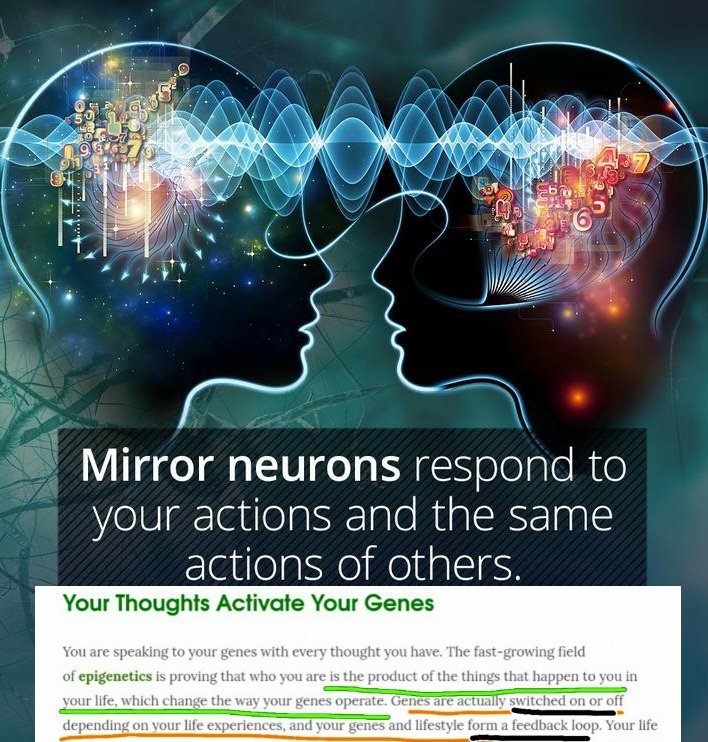 JohnZo77's tweet photo. @FlyingGoatling @Bjoux @KylieMcGee86 @KateMetalBard @saltyandDank @EmmaWatson 😂Those studies don't prove for a moment there is a difference between sex and gender , only the fact mirror neurons exists and help us in interactions with world, but same mirror neurons  can be highjacked  for useless actions...like thinking you are man when you are NOT . https://t.co/CZE4UNbJsR