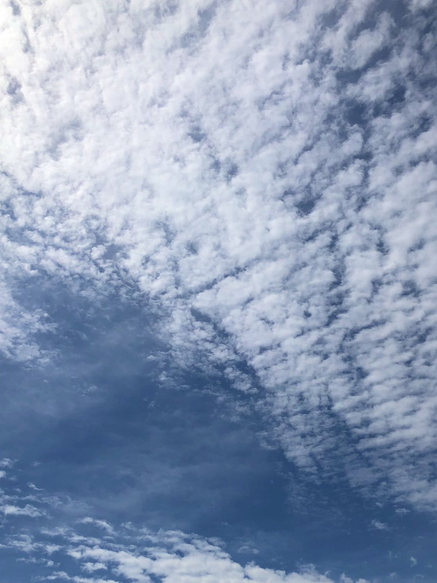 55_kaku's tweet photo. 清々しいな*☼*―――――♬.*ﾟ
#空
#雲
#青空
#空と雲
#今朝空
#今日も晴れたね
#空が好き https://t.co/CVfkpr3XpQ