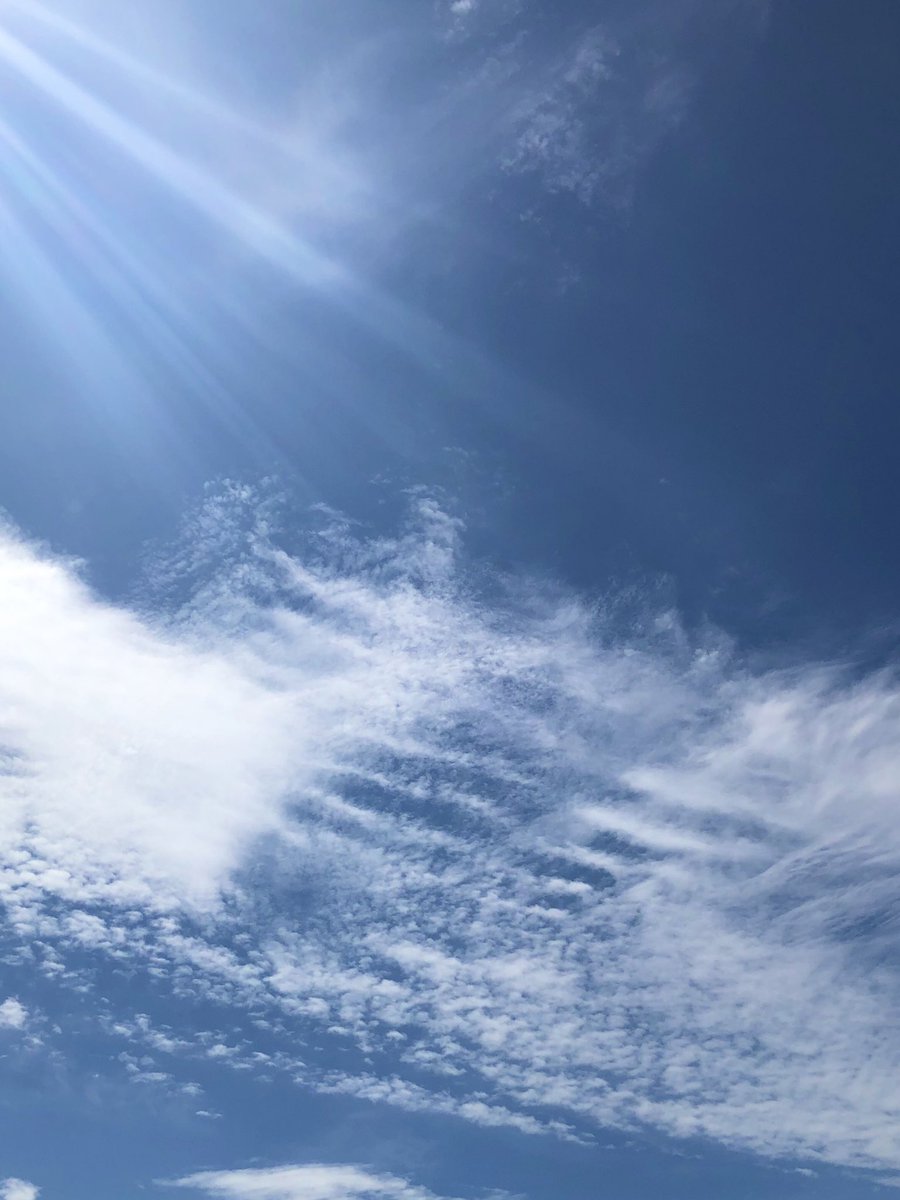 55_kaku's tweet photo. 清々しいな*☼*―――――♬.*ﾟ
#空
#雲
#青空
#空と雲
#今朝空
#今日も晴れたね
#空が好き https://t.co/CVfkpr3XpQ
