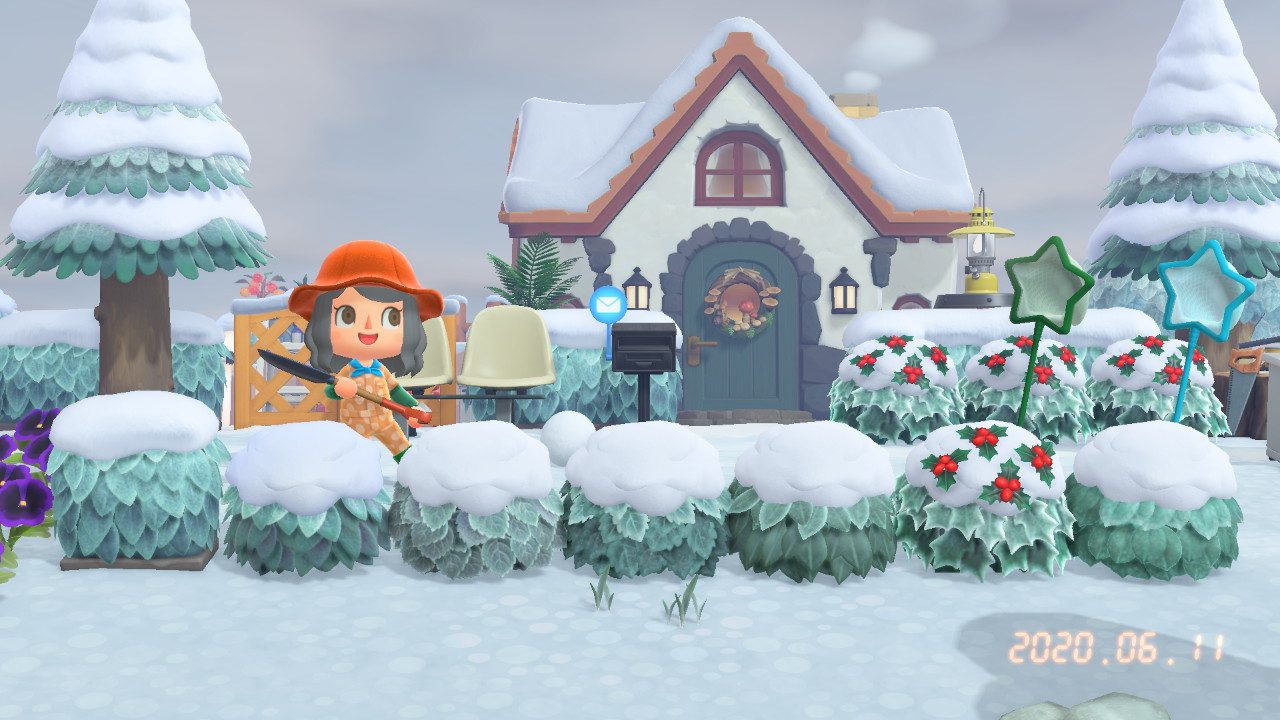 ぽてち@ぷるめり on X: 冬が来たので低木たちの観察。 左から、いけがき、ツツジ、アジサイ、ハイビスカス、キンモクセイ、ヒイラギ、ツバキ！  また同じ日の北半球も撮影させてもらった！秋の時にはどんどん枯れた色になってたけど、冬になったら平等に緑になった ...