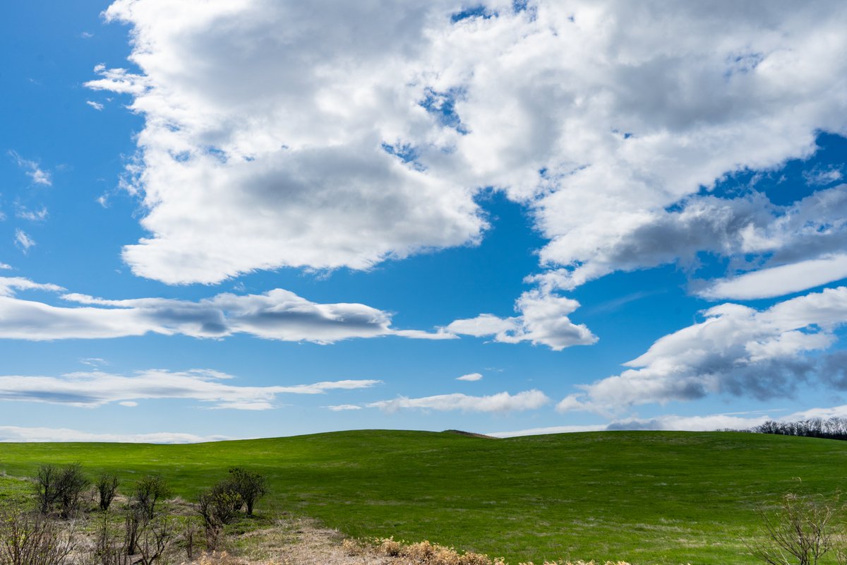 死んだwindowsxp と評された鳥取砂丘の画像 言われてみると再現度が高すぎる 声出して笑ってしまった Togetter