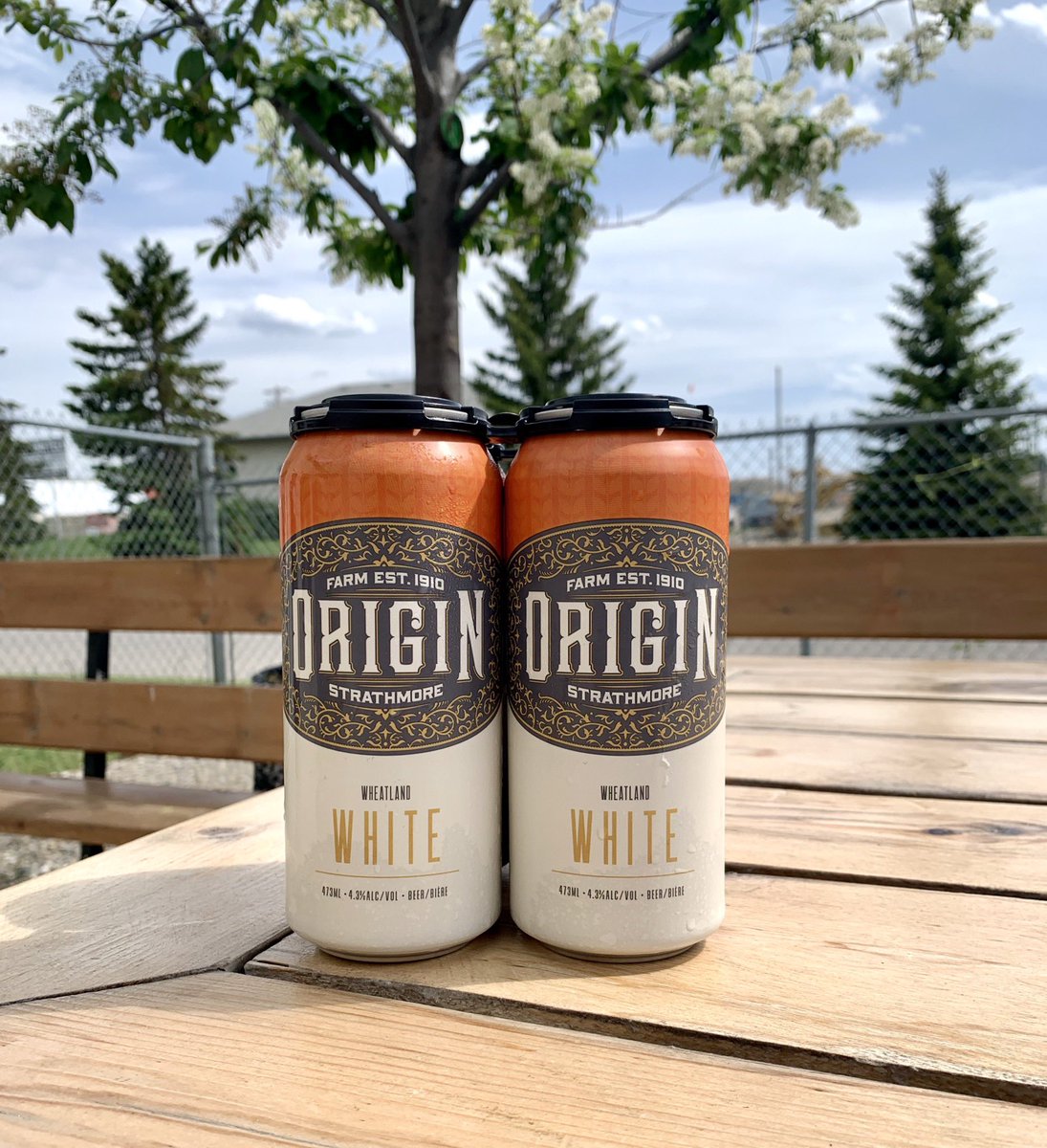 origintaproom's tweet photo. *New 4-pack*
Wheatland White - named after the county we have proudly farmed in since 1910- @Wheatlandcounty. A Traditional-Style White beer made with Origin malted wheat and notes of orange peel and coriander!
Released tomorrow and will be on tap next week also! #farmtocan https://t.co/QLFofTT2Ej