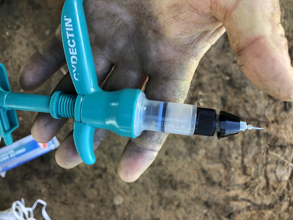 Tim Leeming tweet media