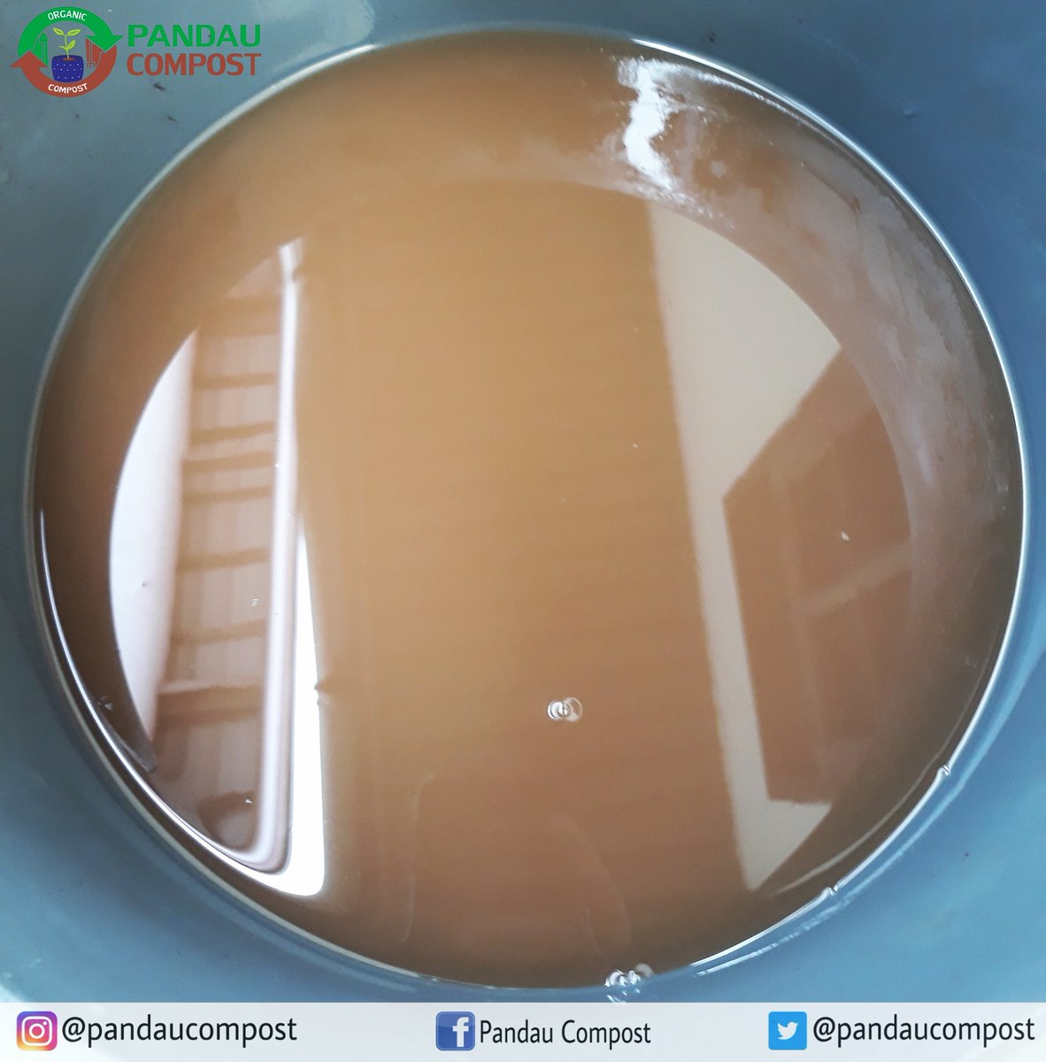 pandaucompost's tweet photo. •
Done Brewing Aerobically ☕
•
Compost Tea provides extra nutrients for plants 🌱
•
#composttea #tehkompos #brewing #liquidorganicfertilizer  #kompos #liquidcompost #mikroorganisme #aerobic #needoxygen https://t.co/kzWHBA789A