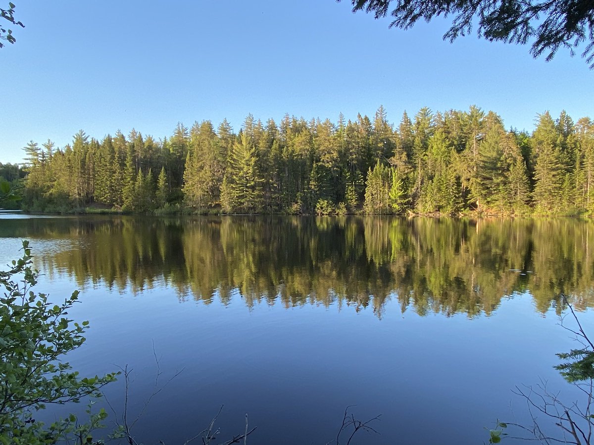 ChrisCusack tweet media