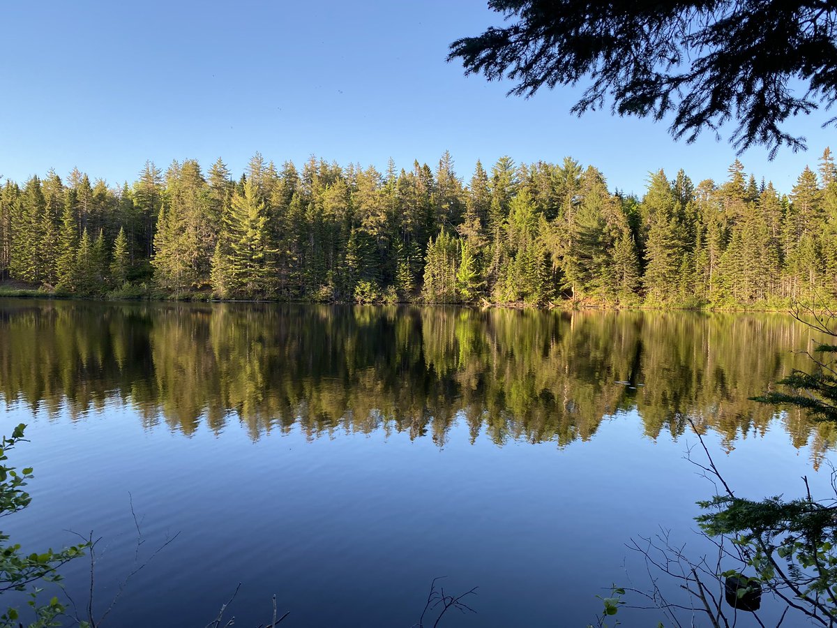 ChrisCusack tweet media