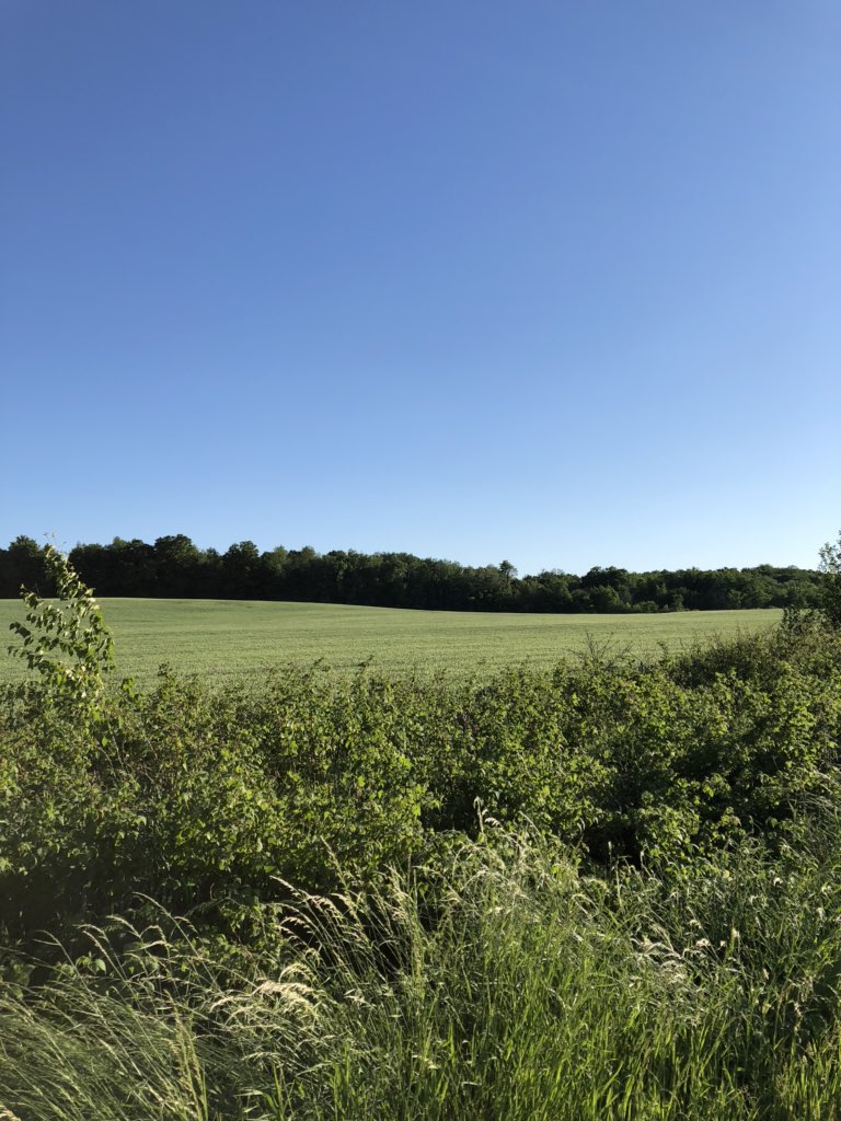 LaguitoGal's tweet photo. Tranquil countryside and some gorgeous views of the lake made for a perfect run this evening.
#CountryRunner #TrailTime https://t.co/1HQ3QBkJbX