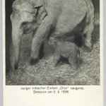 main image of this resource