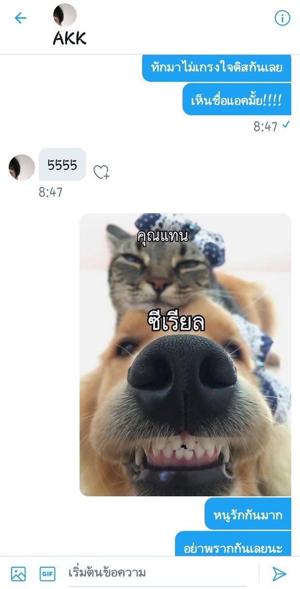 k.tan tweet media