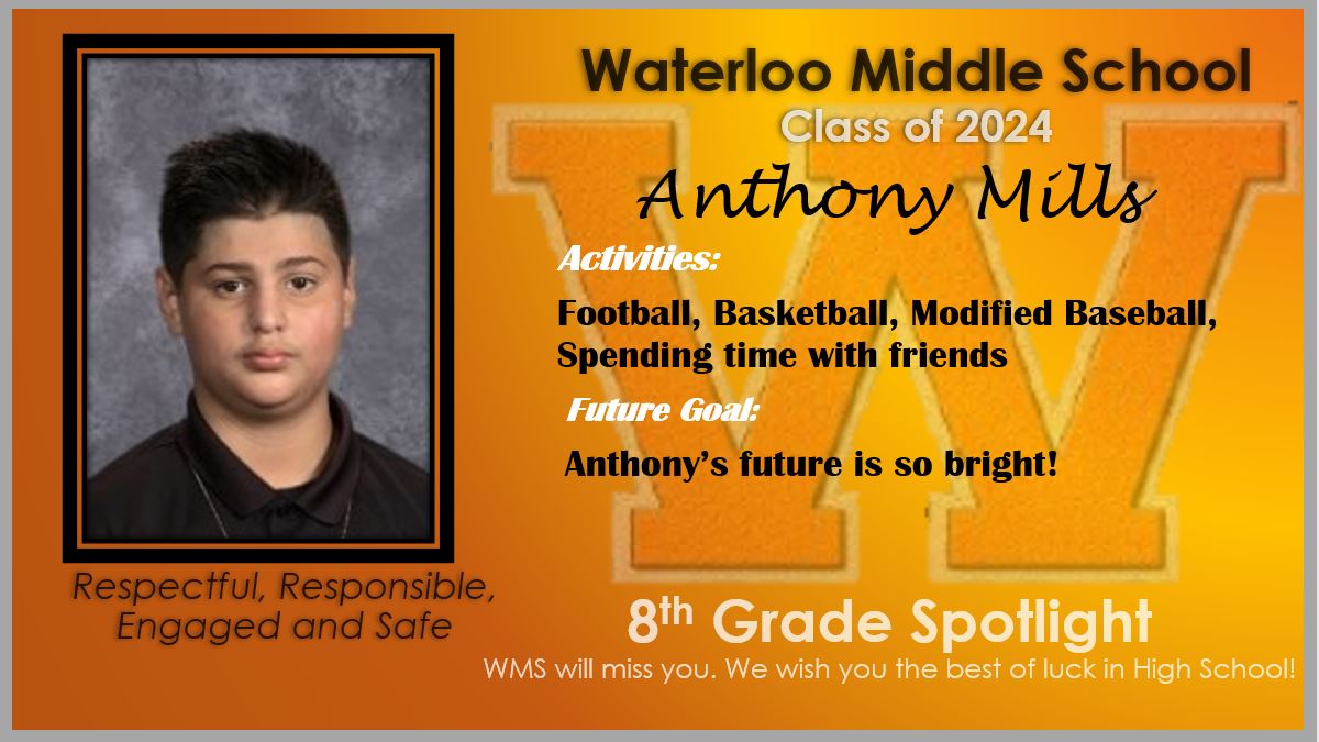 WMS Tribe tweet media