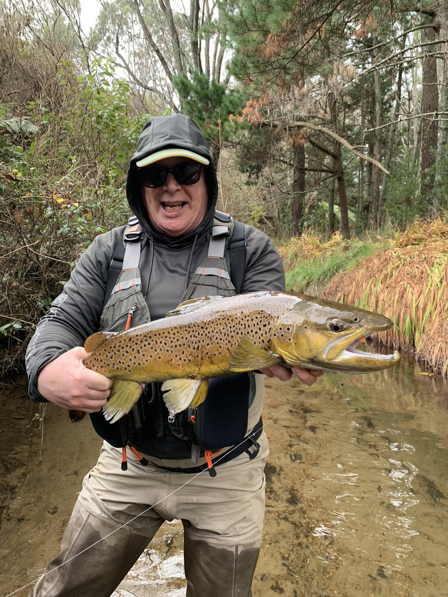 beckynz's tweet photo. Up the jungle for a morning session now casting to big Brown and eager Rainbow trout.  

Over a dozen fish landed and retuned and a couple of monsters lost. https://t.co/FasSZSJYsr