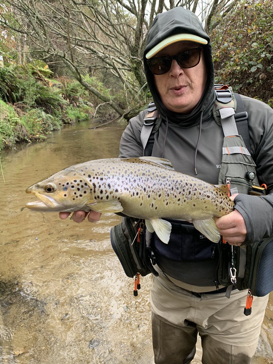 beckynz's tweet photo. Up the jungle for a morning session now casting to big Brown and eager Rainbow trout.  

Over a dozen fish landed and retuned and a couple of monsters lost. https://t.co/FasSZSJYsr