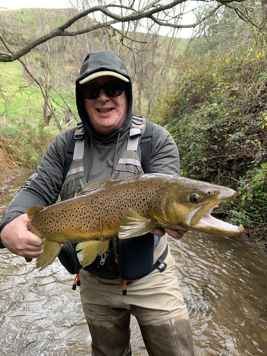 beckynz's tweet photo. Up the jungle for a morning session now casting to big Brown and eager Rainbow trout.  

Over a dozen fish landed and retuned and a couple of monsters lost. https://t.co/FasSZSJYsr